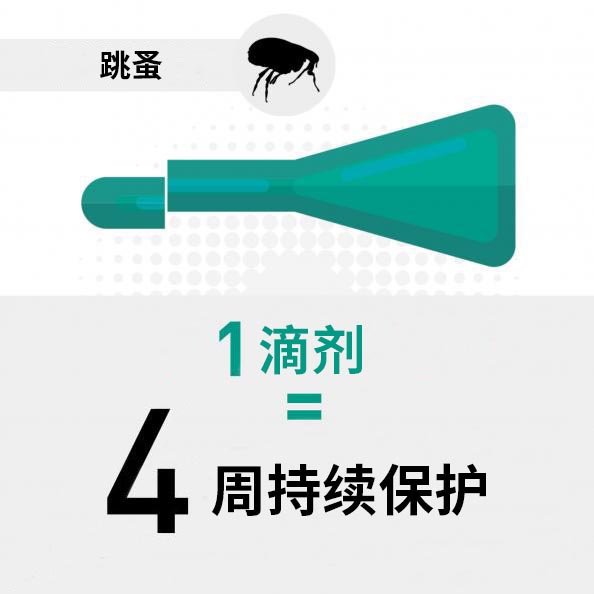 Frontline福来恩Combo Spot-On猫外用驱虫药-3 Frontline福来恩Combo Spot-On猫外用驱虫药