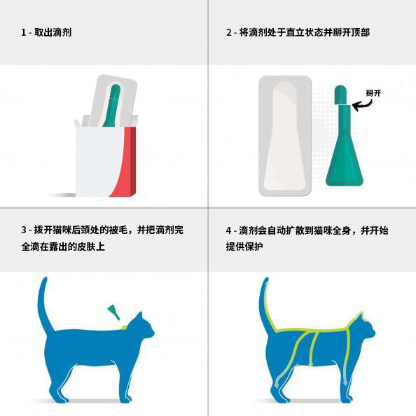 Frontline福来恩Combo Spot-On猫外用驱虫药-4 Frontline福来恩Combo Spot-On猫外用驱虫药